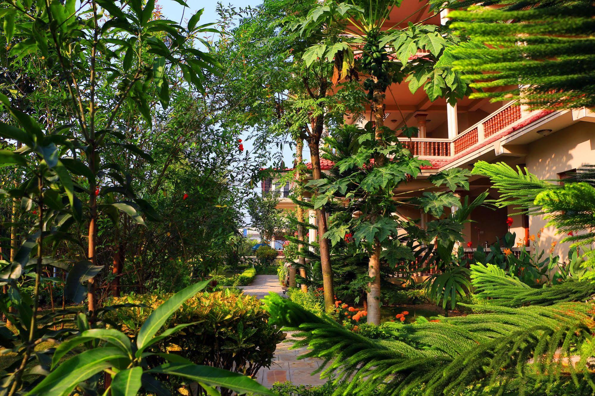 Hotel Royal Safari Sauraha Exterior foto